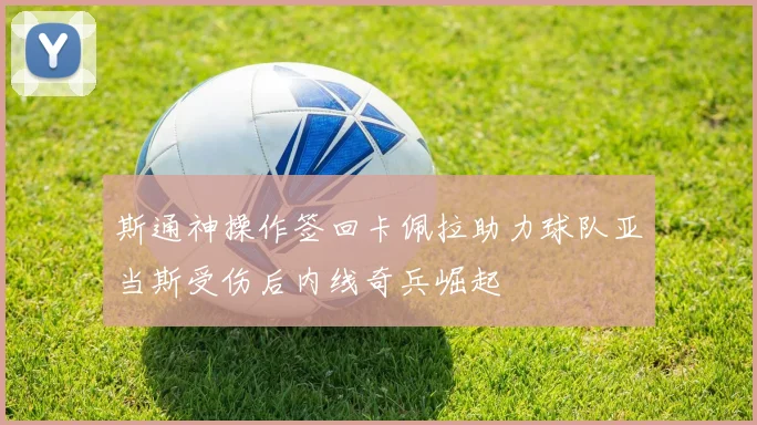 斯通神操作签回卡佩拉助力球队亚当斯受伤后内线奇兵崛起